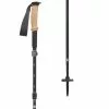 Black Diamond Trekking Poles Alpine FLZ Trekking Poles