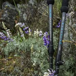 ALPS Mountaineering Trekking Poles Momentum Trekking Poles 12 ALPS Mountaineering Trekking Poles Momentum Trekking Poles -Hiking & Camping Essentials Sales Shop CHALIGGRE D5